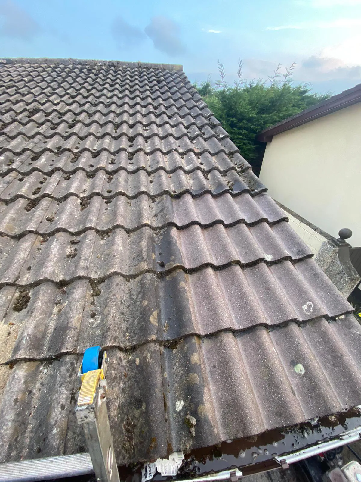 Leak Busters Roof Repair